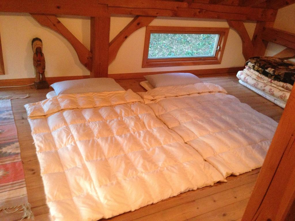 Patagonia Home Симода Номер фото